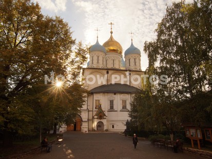 Новоспасский монастырь - фото №120