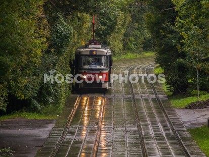 Трамвайчик в Сокольниках - фото №223