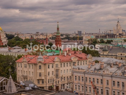 Кремль и Москва-река с крыши ГМИ Пушкина - фото №257