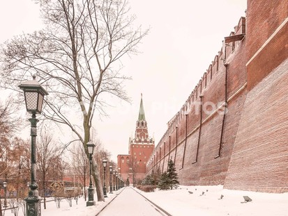 Александровский сад зимой - фото №344