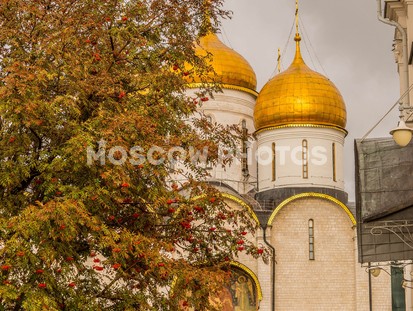 Успенский собор в Кремле - фото №238