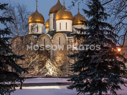 Успенский собор в Кремле зимой - фото №314