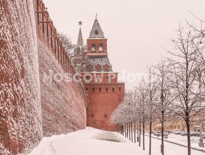 Константино Еленинская башня Кремля - фото №327