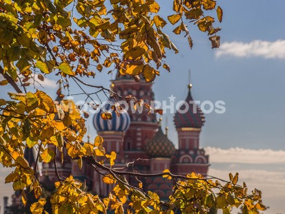 Собор Василия Блаженного в осенней листве - фото №241