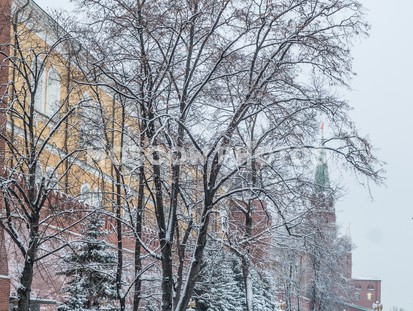 Снег в Александрвском саду - фото №561