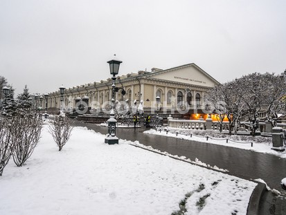 Александровский сад зимой - фото №568