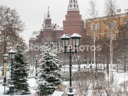 Александровский сад зимой - фото №571