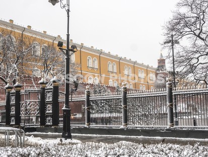 Александровский сад зимой - фото №574