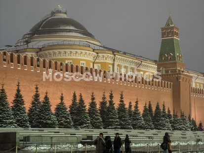 Здание Сената с Красной площади - фото №583