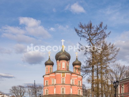 Донской монастырь - фото №464