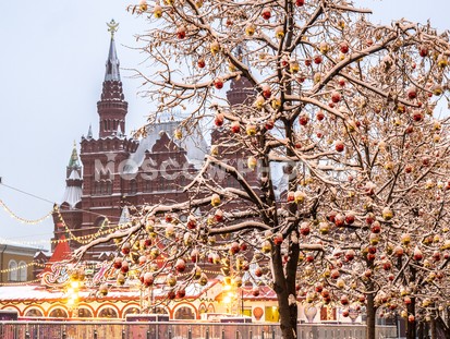 Утро на Красной площади зимой - фото №567