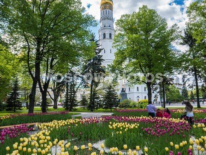 Колокольня Ивана Великого в цветах - фото №693