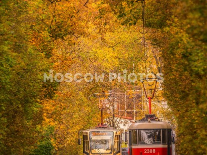 Трамвайчики в Сокольниках - фото №189