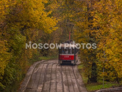 Трамвайчики в Сокольниках - фото №190